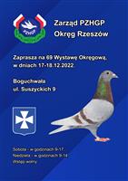 Gołębie zdjęcie